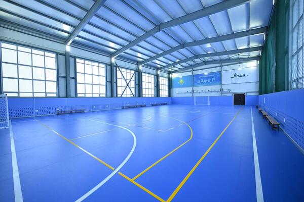 Елімізде 2026 жылы 121 спорт нысанын салынады